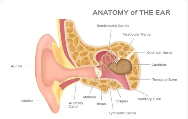 image_1593248628338 Health news of the week: Hearing loss