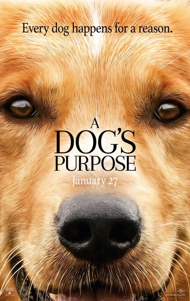 07f9a07e539c2573bbbeecb3df651daf8973022129468350264-647x1024 Movie: A Dogs Purpose