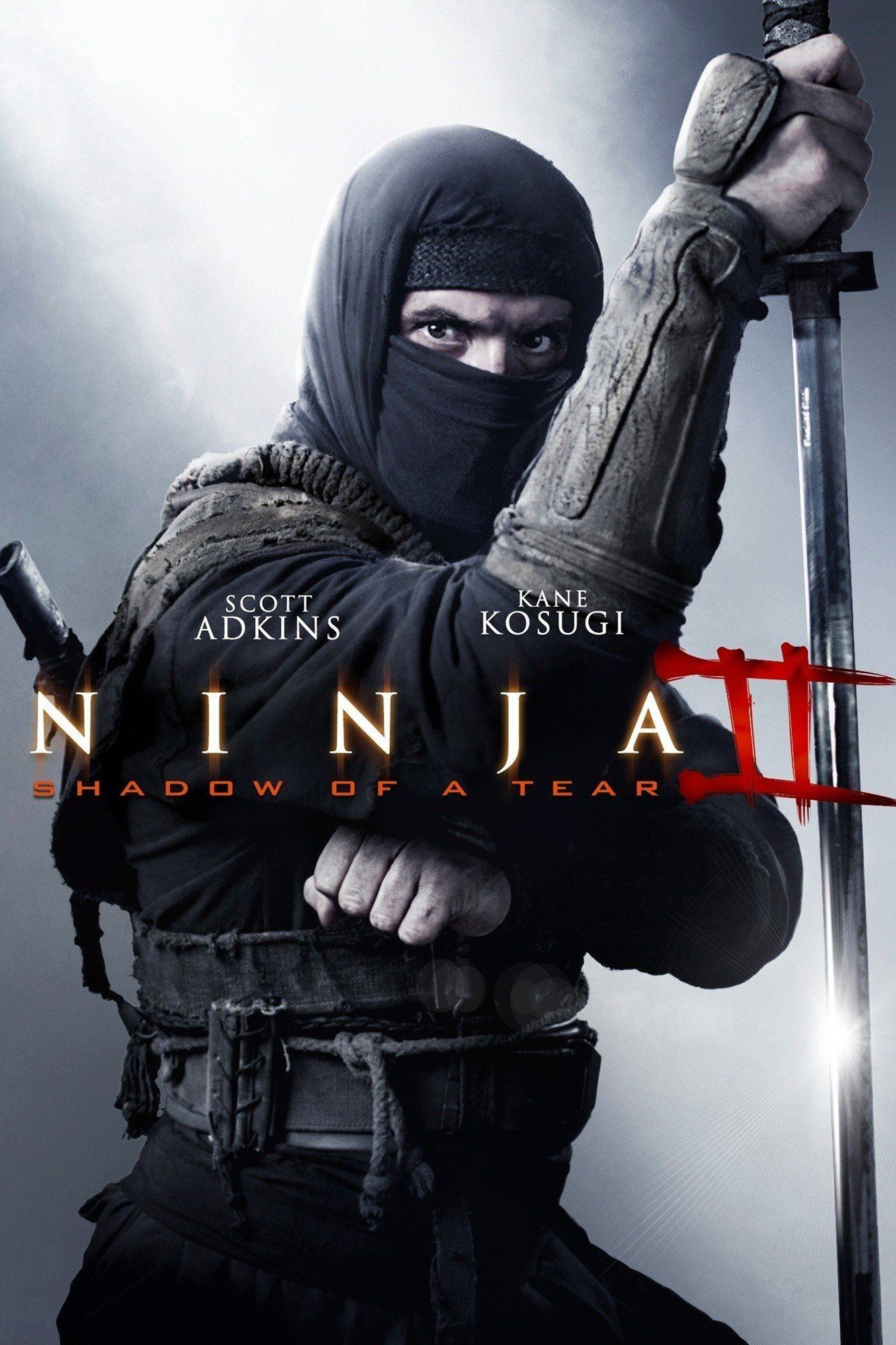 ninjashadowofatear2488867762897625979 Movie: Ninja 1-2