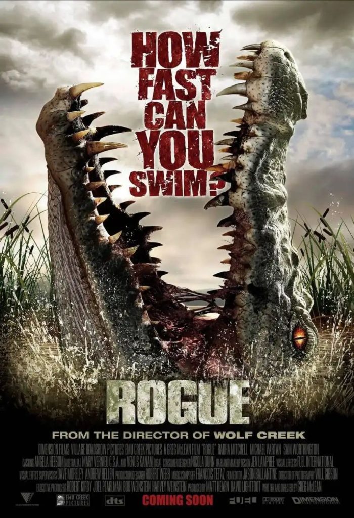 ac7e346a8eb24c48f7c0338e9c15ddb78074874156836779805-700x1024 Movie: Rogue